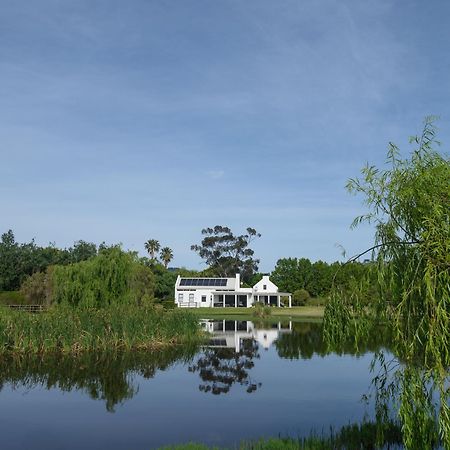 Sanddrif Stellenbosch Guest Farm Exterior photo